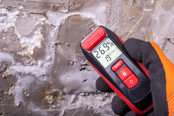 Best Post-Remediation Services in Los Alamos, CA