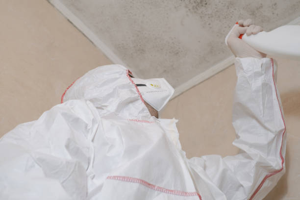 Best Crawl Space Mold Remediation in Los Alamos, CA